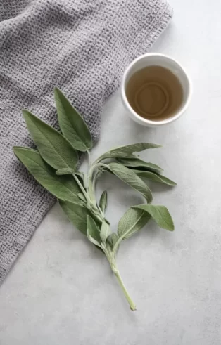 Counselling in Chester